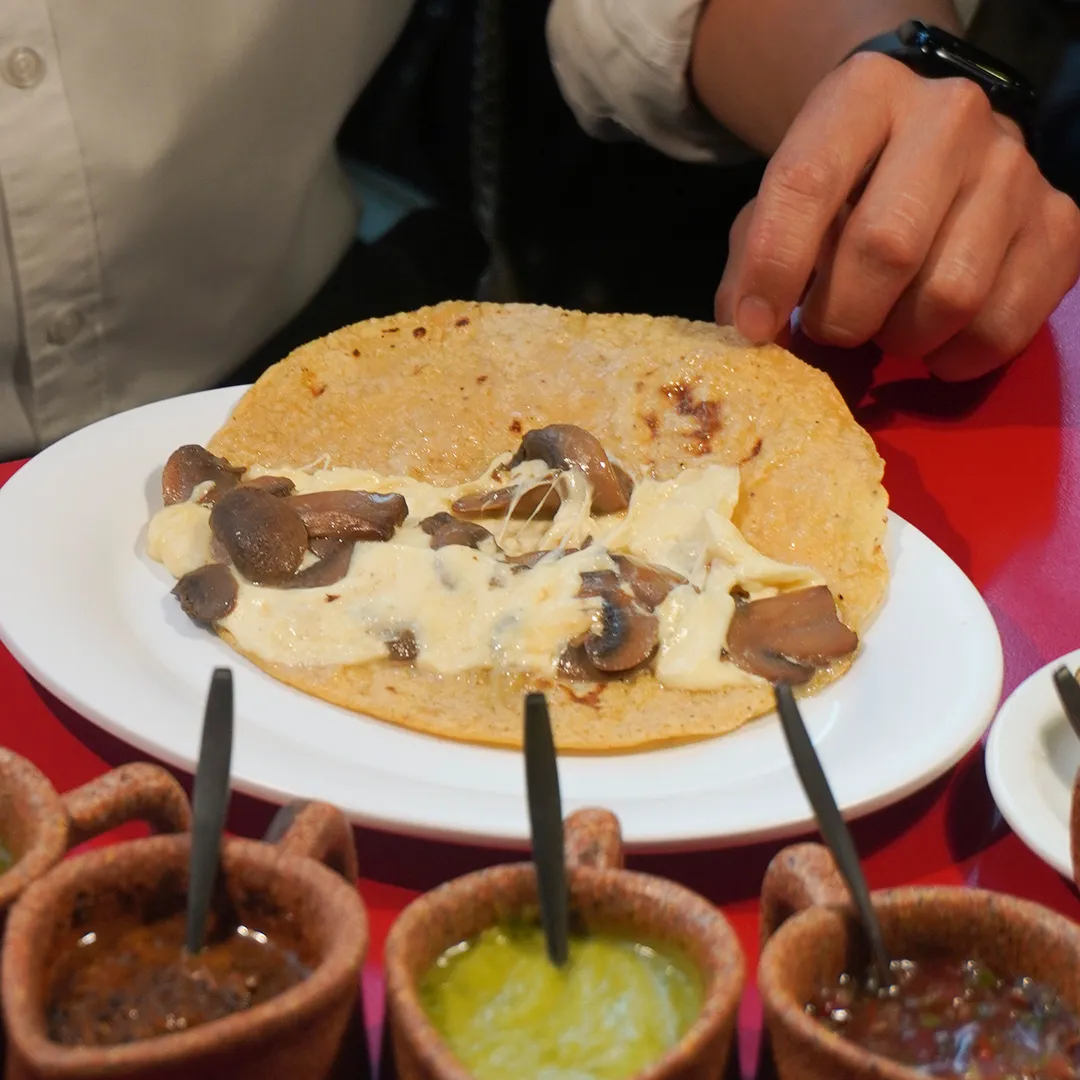 Platillo 3 el charco de las ranas